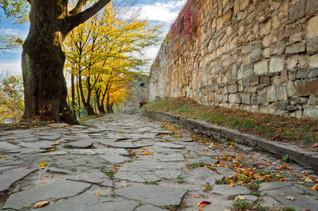 Alley of autumn trees near the wall of the ancient castle. Terebovlya, castle, Ternopil region, Ukraineのeditorial素材