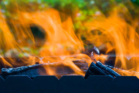 Flame Firewood for barbecue is burning in the brazier