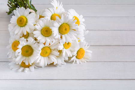 Beautiful bouquet of chamomile flowers on a white wooden backgroundの写真素材
