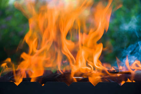 Fire. Firewood is burned on the grill for cooking kebabs