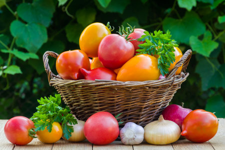 Fresh ripe tomatoes and other vegetables in a wicker basket on a wooden table in the gardenの写真素材