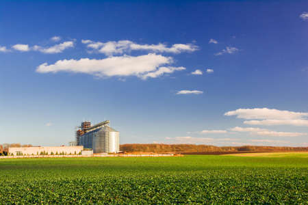 New grain elevator buildings on a background of blue sky with clouds and green field of young rapeseed shootsの写真素材