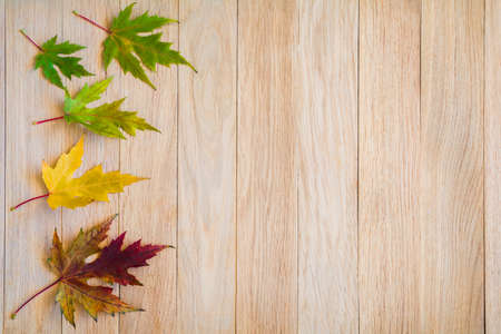 Fallen leaves in autumn colors on a wooden backgroundの写真素材