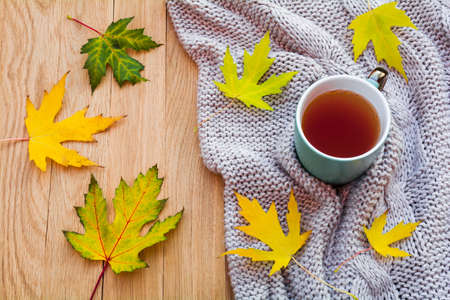 A cup of tea wrapped in a warm knitted sweater and fallen autumn leaves on a wooden table. Autumn home coziness conceptの写真素材