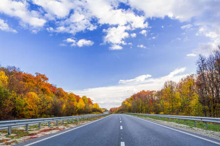 Highway among the autumn forest. Beautiful autumn landscapeの写真素材