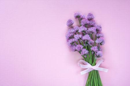 Bouquet of purple flowers of decorative onions on a pink backgroundの写真素材