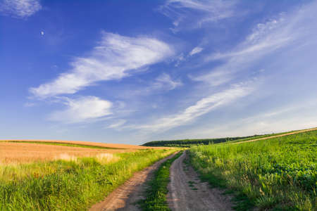 A field road between the slopes of the fields of agricultural cropsの写真素材