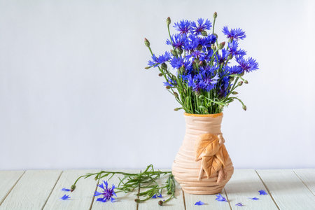 Bouquet of blue cornflower flowers in a vase on a white wooden tableの写真素材