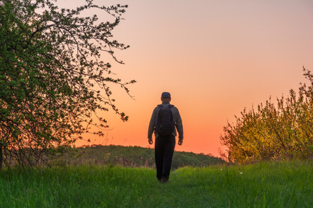 A man with a backpack walks along a path between bushes and trees. Evening summer landscape in sunset colorsの写真素材