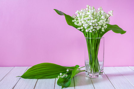 A bouquet of white lily of the valley flowers in a glass on a pink backgroundの写真素材