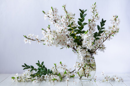 A bouquet of blooming plum branches in a glass vase on a white table. still lifeの写真素材