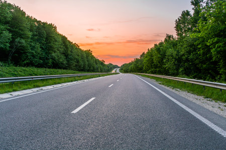 Highway in the middle of the forest belt at sunsetの写真素材