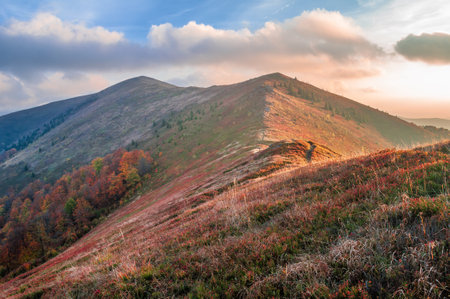 Autumn mountain landscape at sunset. Ukrainian Carpathians, Borzhava Ridgeの写真素材