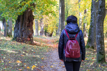 A woman in a blue jacket with a backpack is walking in an autumn park with ancient trees