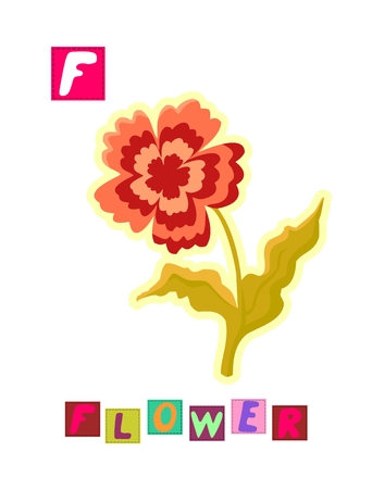 Cute cartoon english alphabet with colorful image and word. Kids vector ABC on white background. Letter F.のイラスト素材