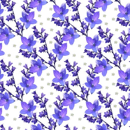 Beautiful floral seamless pattern with violet flowers of bellflowers on white background.の写真素材