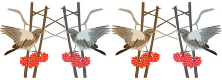 Endless horizontal border with fieldbirds perched on rowan branches. winter landscape. Print for fabric.のイラスト素材