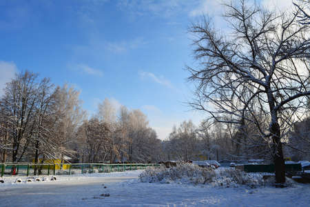 Winter in city. Urban landscape with trees covered by snow.の写真素材