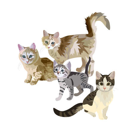 Cat family of four cats isolated on white background in vector. Cute realistic illustration.のイラスト素材