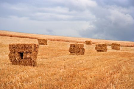 Hay bales fieldの写真素材