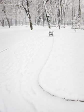 City park in winterの写真素材