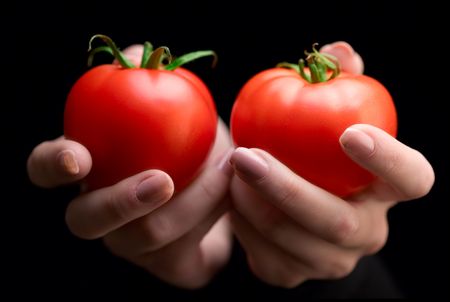 Hands holding tomatoesの写真素材