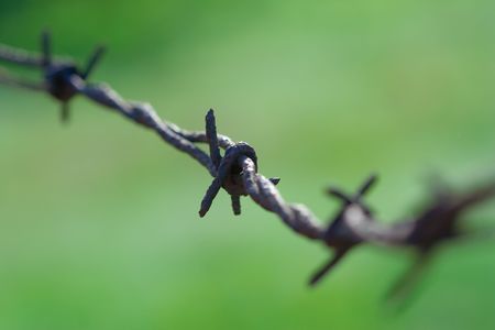 Barbed wire against green background