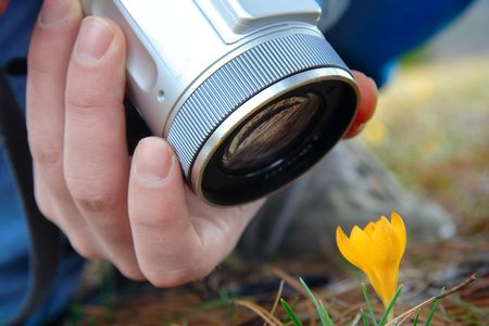 Person taking picture on a flowerの写真素材