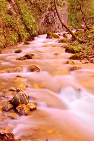 Stream rushing through the forest in Mavrovo region, Macedonia