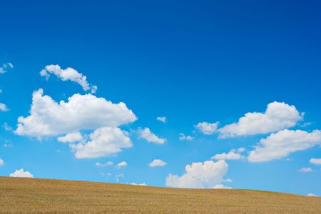 Beautiful meadow in countryside Macedonia