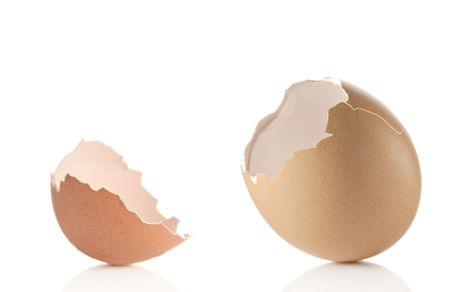 Empty eggshell against white background