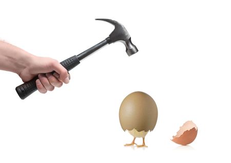 A hand about to break an animal egg isolated on white backgroundの写真素材