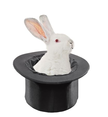 A view of a rabbit in a top hat isolated on white backgroundの写真素材