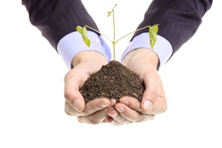Hands holding a pile of soil with a green plant の写真素材