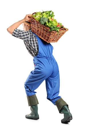 Full length portrait of a farmer carrying a basket of vegetables on his back isolated on white backgroundの写真素材