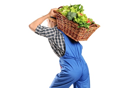 A farmer carrying a basket of vegetables on his back isolated on white backgroundの写真素材