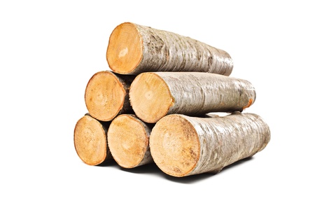 Pile of beech firewood isolated on white backgroundの写真素材
