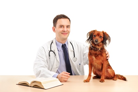 Veterinarian with a dog isolated on white backgroundの写真素材