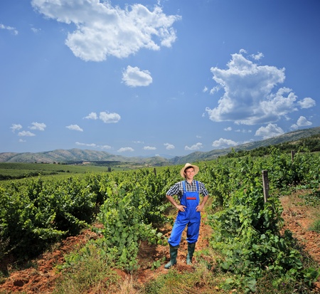 A young vintner posing at his vineyard, Macedoniaの写真素材