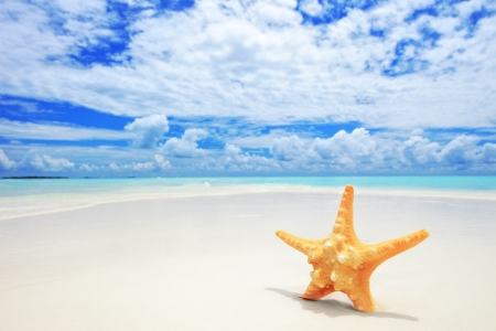 A view of a starfish on a beach, cloudy sky and turquoise sea at Kuredu island, Maldives, Lhaviyani atoll の写真素材
