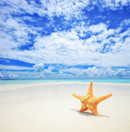 A view of a starfish on a beach, cloudy sky and turquoise sea at Kuredu island, Maldives, Lhaviyani atollの写真素材