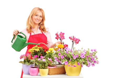 A beautiful female florist holding a can and watering flowers isolated on white backgroundの写真素材