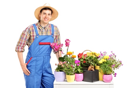 A male florist posing next to flowers isolated on white backgroundの写真素材