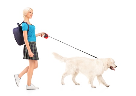 Full length portrait of a female student walking a dog, isolated on white backgroundの写真素材