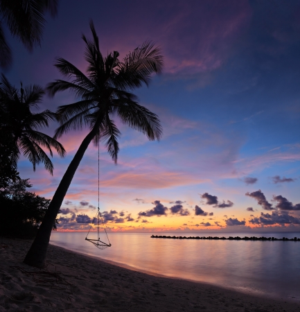 A view of a beach with palm trees and swing at sunset, Kuredu island, Maldives, Lhaviyani atollの写真素材