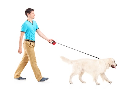 Full length portrait of a young man walking a dog, isolated on white backgroundの写真素材
