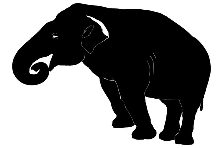 A silhouette of an elephant isolated on white backgroundの写真素材