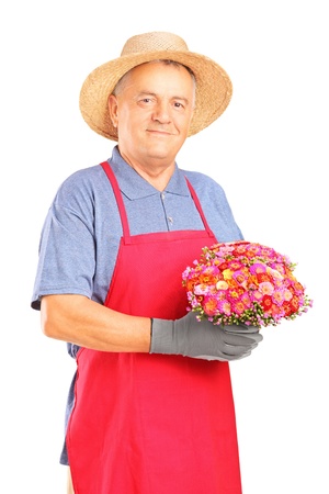 A mature gardener holding a bouquet of flowers isolated on white backgroundの写真素材