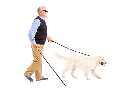Full length portrait of a blind man moving with walking stick and his dog, isolated on white backgroundの写真素材