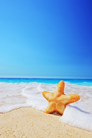 A view of a starfish on a beach with clear sky and wave, Greeceの写真素材